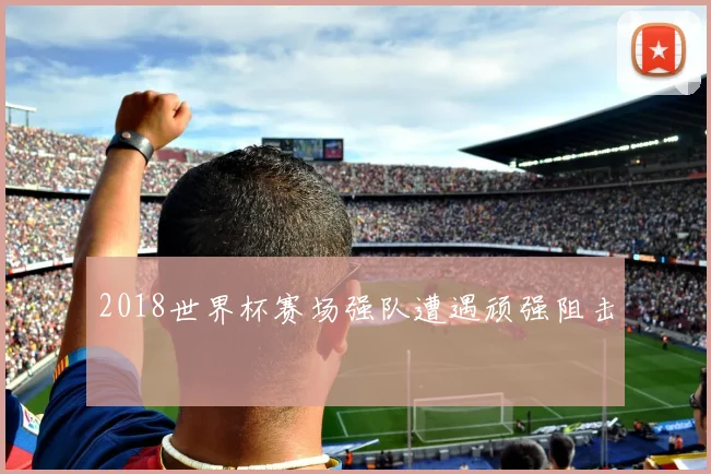 2018世界杯赛场强队遭遇顽强阻击
